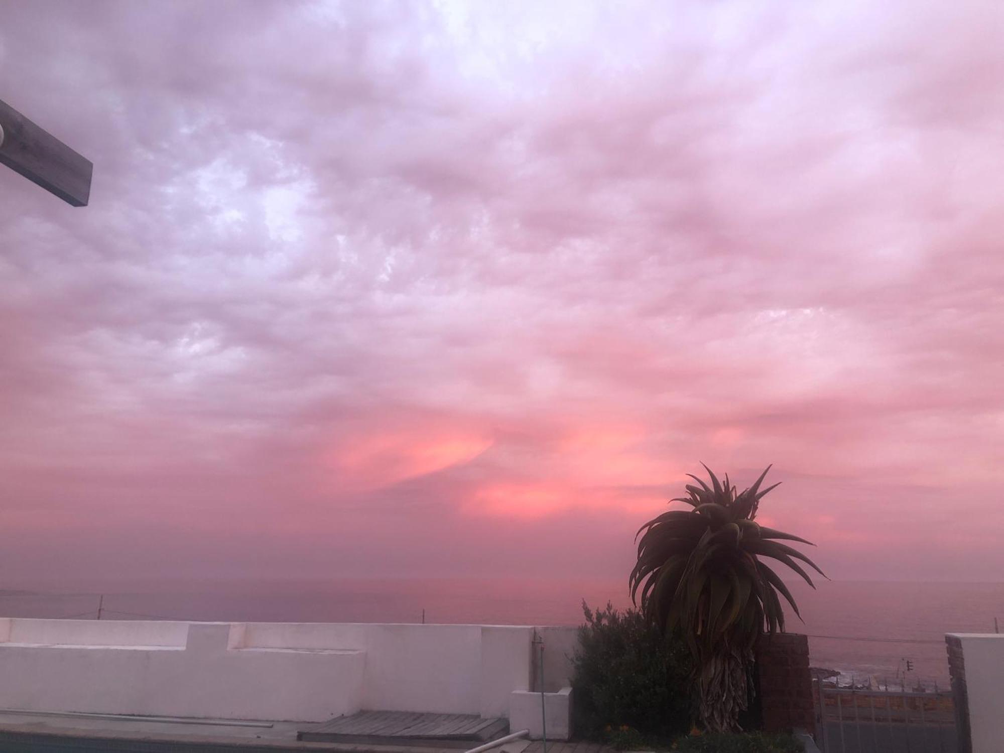 Ollava Guesthouse Simonʼs Town Dış mekan fotoğraf